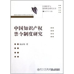 中國智慧財產權禁令制度研究