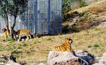 寧波雅戈爾動物園