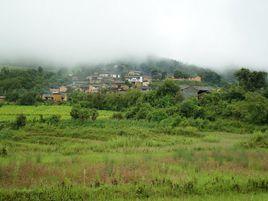 甲已己村