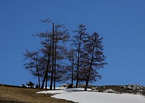 （圖）伊吾鎮