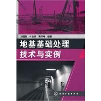 《地基基礎處理技術與實例》