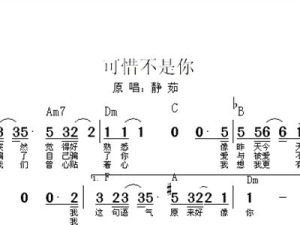 《可惜不是你》