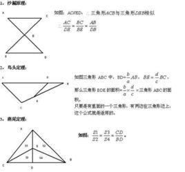 鳥頭定理