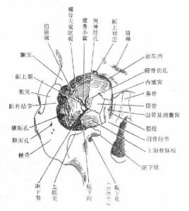 眶上裂綜合徵