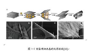 製備碳納米卷的化學路線