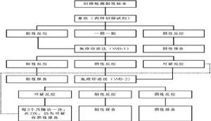 免疫印跡分析