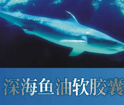 深海魚油軟膠囊