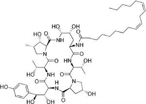 棘白菌素B