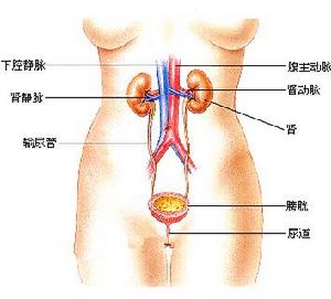 隱匿型腎炎