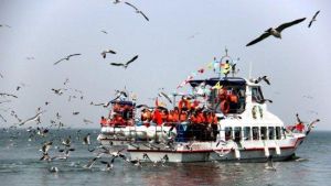 大連神龍仙島海上主題公園