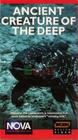 《PBS 深海古生物》