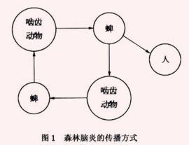 森林腦炎病毒