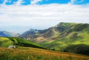 甸頂山