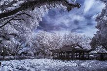 西湖公園[福州西湖公園]