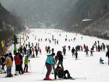 翠華山滑雪場