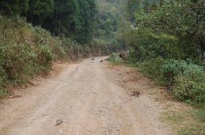 路歧村的道路