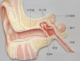 鐙骨切除術