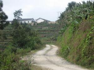 大丫口自然村[田壩鄉酒房行政村下轄自然村]