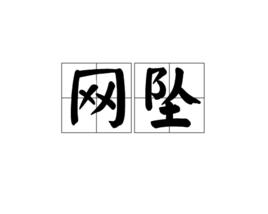 網墜[漢語詞語]