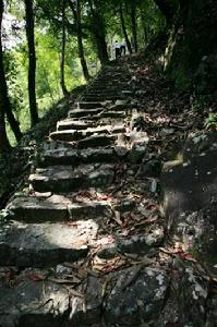 泰順葉山村之古驛道