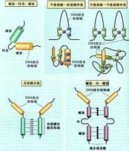 非組蛋白