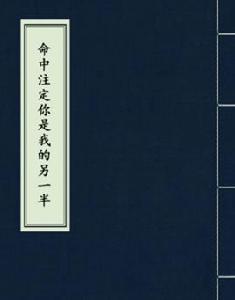 命中注定你是我的另一半