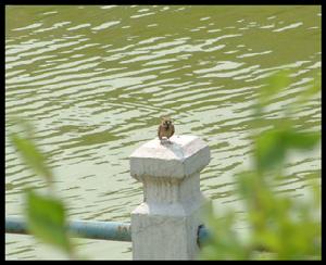 西寧朝陽公園