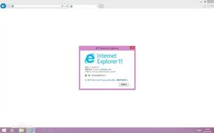 Internet Explorer 11.0