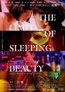 THE LIMIT OF SLEEPING BEAUTY