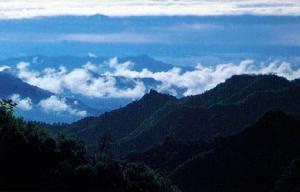 佛坪國家級自然保護區