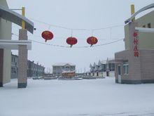 田莊社區——雪景