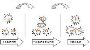 虛擬企業