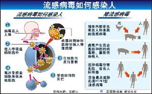 （圖）全球瘟疫