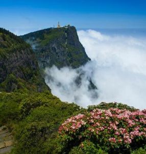 峨眉山熊貓大世界