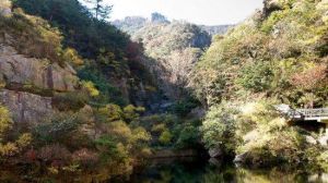 九水花園