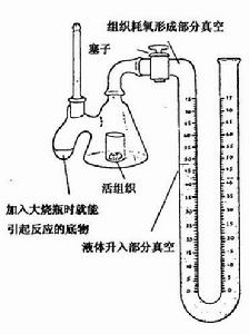 代謝能量