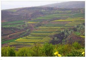 黃土性土——洩湖