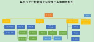 雲南平行組織結構圖