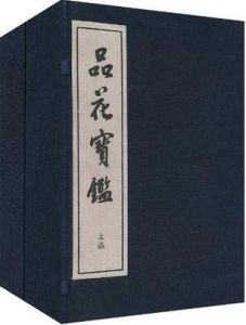 人情世態小說