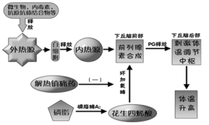 內熱源包括白介素1