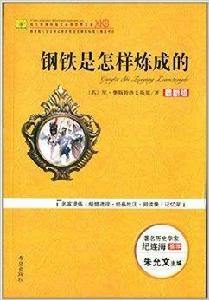 與名家品讀系列叢書：鋼鐵是怎樣煉成的