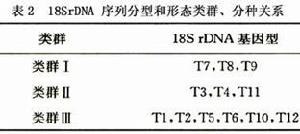 棘阿米巴性角膜炎