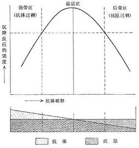 透射比