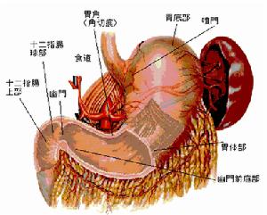 急性胃腸炎