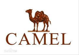 Camel駱駝