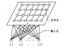 SOM網路的典型拓撲結構