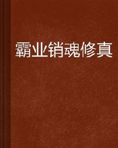 霸業銷魂修真