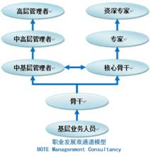 雙通道職業階梯