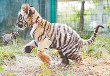 洛陽王城動物園