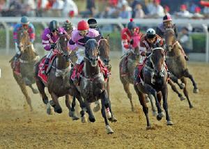 為期4天的武漢國際賽馬節在武漢東方馬城開幕